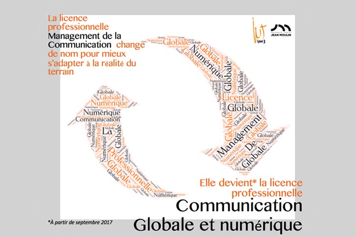 lp-com-globale-numerique-lyon3 Jean Moulin